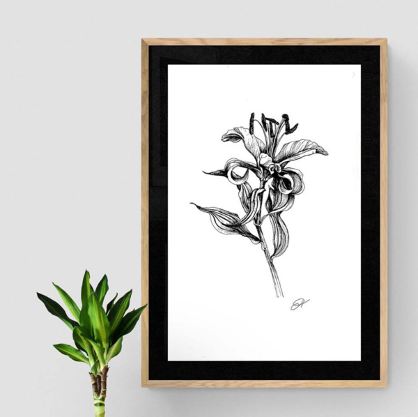 Lily, Lilium, Botanical Drawing, Printable, Instant Download, Gift, Regalo, Drawing, Flower, Print, Printable Wall Art