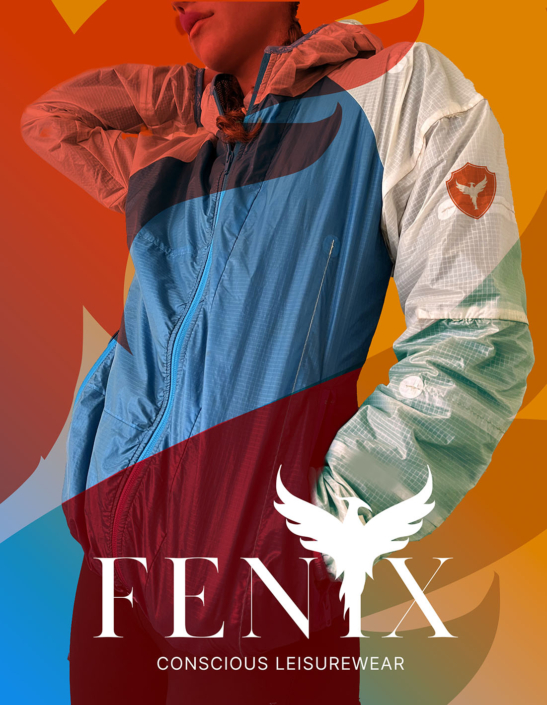 fenix-logo&brand-identity